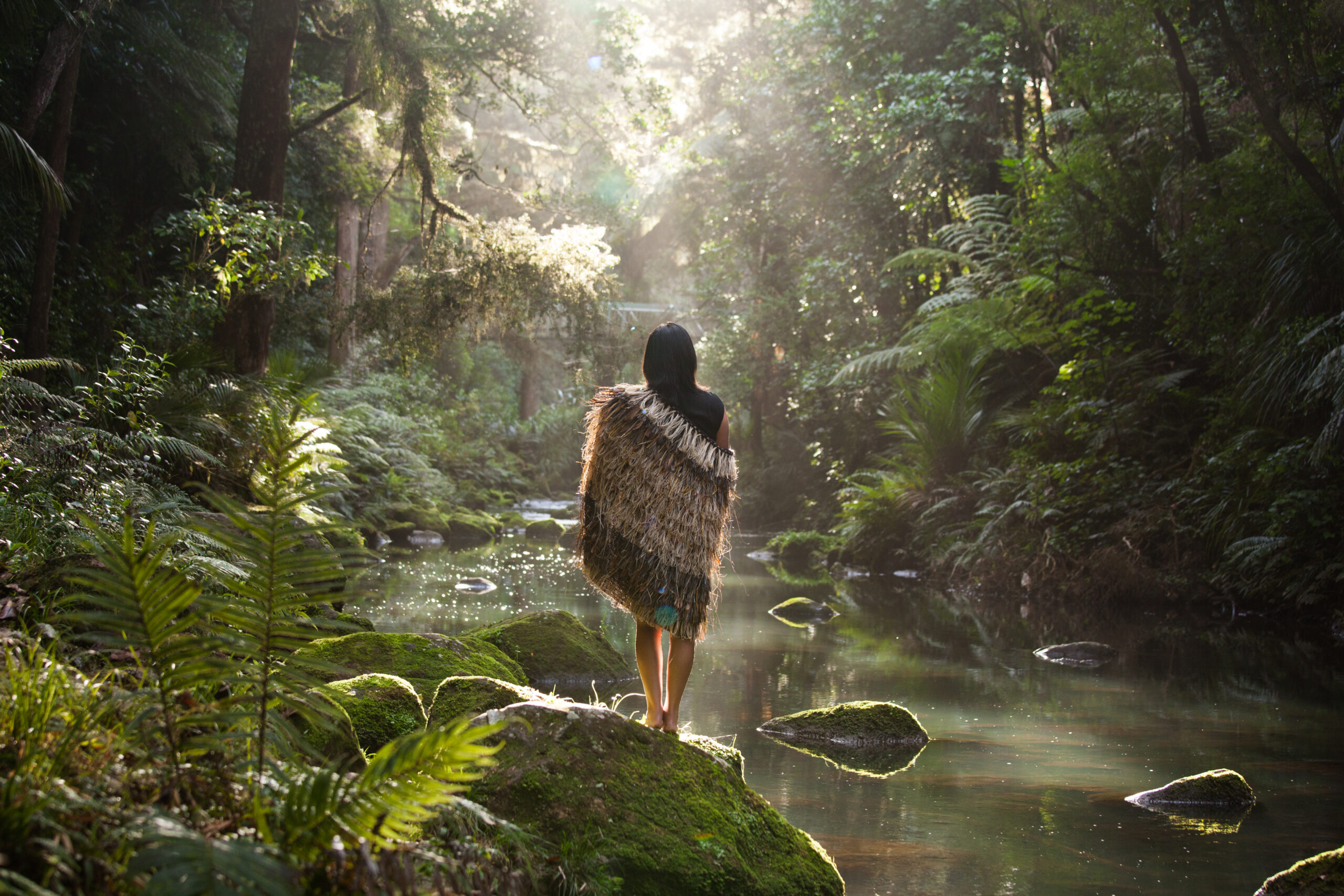 Otuihau Whangārei Falls cascading through native bush in Northland.